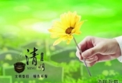 清明节绿色祭祀方式大全